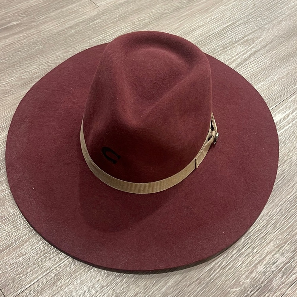 Charlie horse felt hat